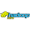 HDFS_hadoop-iCEDQ