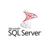 Microsoft SQL Server-iCEDQ