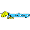 HDFS_hadoop-iCEDQ-100x100